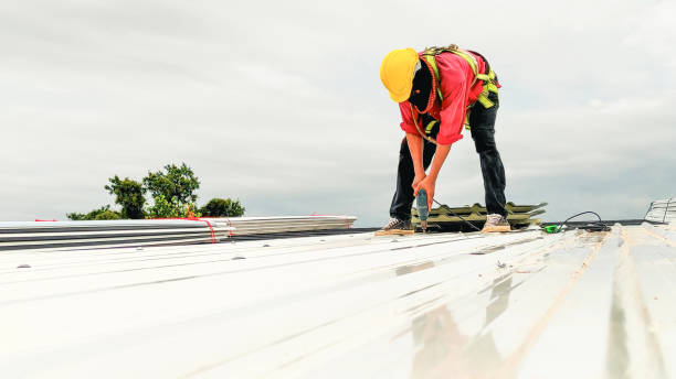 Best Chimney Flashing Repair  in West Newton, PA